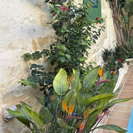 B&B Serene Escape *