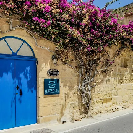 فندق مبيت وإفطار Serene Escape 3*