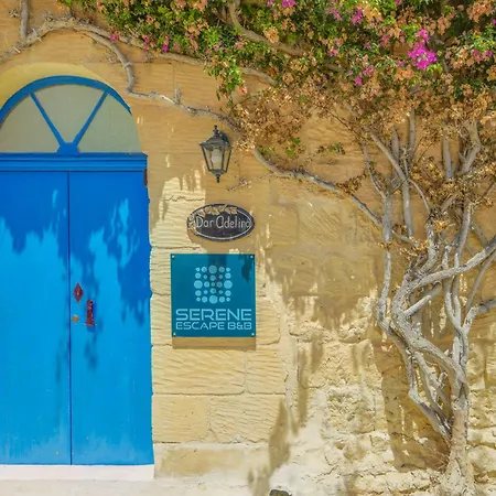 Serene Escape Bed & Breakfast